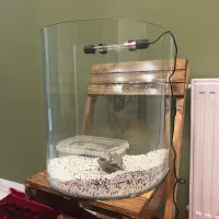 آکواریوم شیشه ای نیم دایره