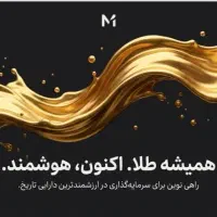 میلی ،سرمایه گذاری در ارزشمندترین دارایی تاریخ