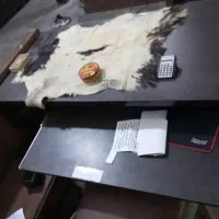 این زیر زمین فوری اجاره داده میشود|اجارهٔ دفتر صنعتی، کشاورزی، تجاری|بهارستان, |دیوار