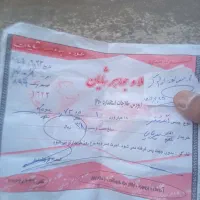اشیا