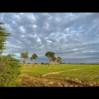 نیازمند-زمین-کشاورزی-به-مساحت-دو-هکتار-به-بالا