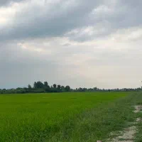 فروش-زمین-کشاورزی