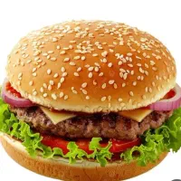 ساندویچ بهشت(4تا چیزبرگر)مخصوص گوشت گرم فقط(۱۱۴۹ت)