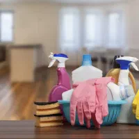 نیرو خانم کار در منزل