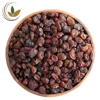 سورتیگ کشمش (کشمش پاک کنی)