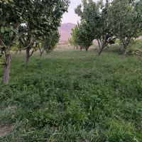 باغ 2200 متری سریک