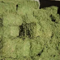 یونجه بسته بندی