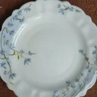 سرویس ظرف تمیز ونو