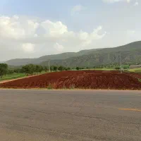 زمین کشاورزی با مجوز چاه آب - ده کله