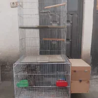 قفس پرنده