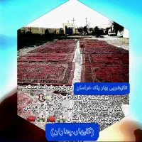 قالیشویی ومبلشویی بهار خراسان (گلبهار،چناران)