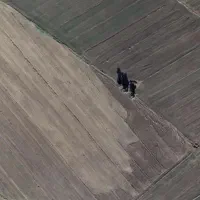 ۲ هکتار زمین کشاورزی آبی|فروش دفتر صنعتی، کشاورزی، تجاری|سرپل ذهاب, |دیوار