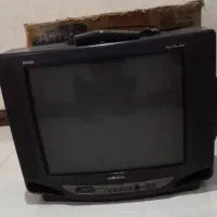 تلویزیون