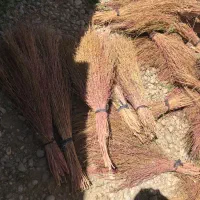 جارو محلی درجه یک|لوازم نظافت|زاغه, |دیوار