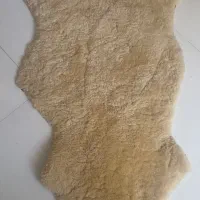 پوست گوسفند مرینوس استرالیایی. وارداتی