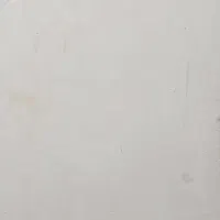 اسب پیدا شده