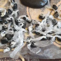 مومنایی اصل بدون هیچ ناخالصی