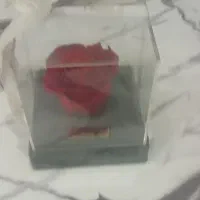 رز جاودان|گل و گیاه طبیعی|تهران, بیسیم|دیوار