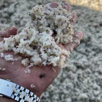 تفاله تر ارسال از پیرانشهر|حیوانات مزرعه|سقز, |دیوار