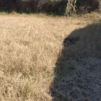 فروش زمین مسکونی