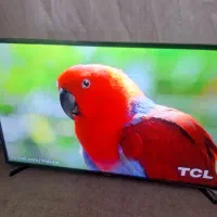 الجی ۴۳ اینچ دو گیرنده  نوی نو