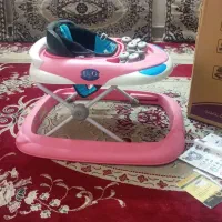 کالسکه دلیجان|کالسکه و لوازم جانبی|پاکدشت, پاکدشت (مامازند)|دیوار