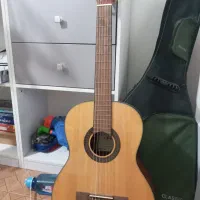 گیتار آریا Ak30