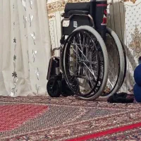 ویلچرنو کار نکرده