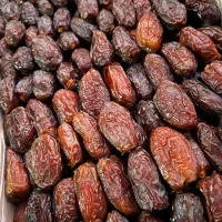 فروش خرمای مجول