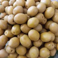 انواع .ترشیجات و سبزیجات دلپذیر.خانوم غلامی|خوردنی و آشامیدنی|ایوان, |دیوار