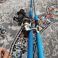 دو عدد لانسر فروش یا معاوضه با جوجه غاز