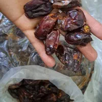 خرما|حراج|یزد, |دیوار