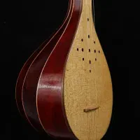 سه تار رزوود|سازهای سنتی|تهران, سازمان برنامه جنوبی|دیوار