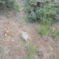 فروش زمین هشتبنگله