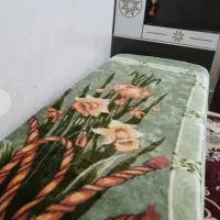 ۲تخت یک نفره|تخت و سرویس خواب|قم, باجک دو|دیوار