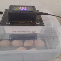 دستگاه جوجه کشی