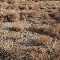 زمین-بره-خیابان-200متر-در-20-در10