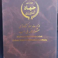 مادیان نوه سالار دو کره زرین سودرجان همراه با کره|اسب و تجهیزات اسب‌سواری|کاشان, صفی آباد|دیوار