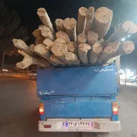 خریدار چوب همه رقم به قیمت بالا|خدمات باغبانی و درختکاری|میان جلگه, |دیوار