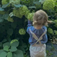 مدل برای رنگ مو