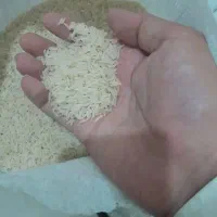 برنج طارم هاشمی درجه یک|خوردنی و آشامیدنی|ایرانشهر, |دیوار