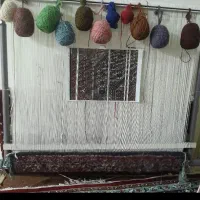 دار قالی اماده