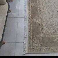 محافظ ریشه فرش