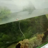 اکواریوم بزرگ