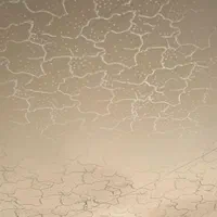 طرح کاغذدیواری بارنگ اکرولیک|خدمات پیشه و مهارت|اسلامشهر, شهرک توحید|دیوار