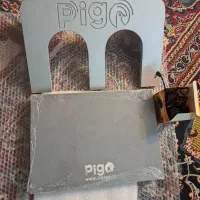 کبوتر پلاکی و دستگاه پیگو