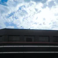 ونک 250 متر تجاری مناسب همه مشاغل قرار داد بلندمدت