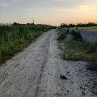 زمین کشاورزی