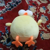 جوجه بچه گونه