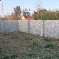 سوله برای گاوداری|فروش دفتر صنعتی، کشاورزی، تجاری|آستانه اشرفیه, |دیوار